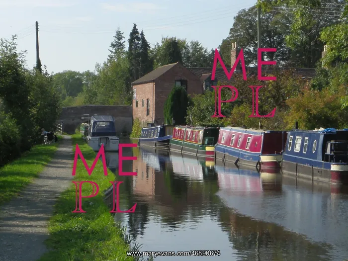 : View at Maesbury Marsh Bridge, Montgomery Canal : View at Maesbury Marsh Bridge, Montgomery Canal