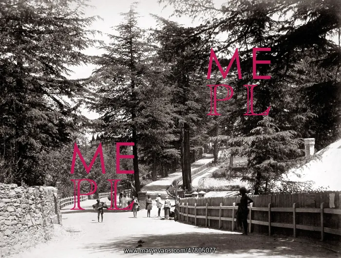  : View of The Mall, Simla, Shimla, India, c.1860's