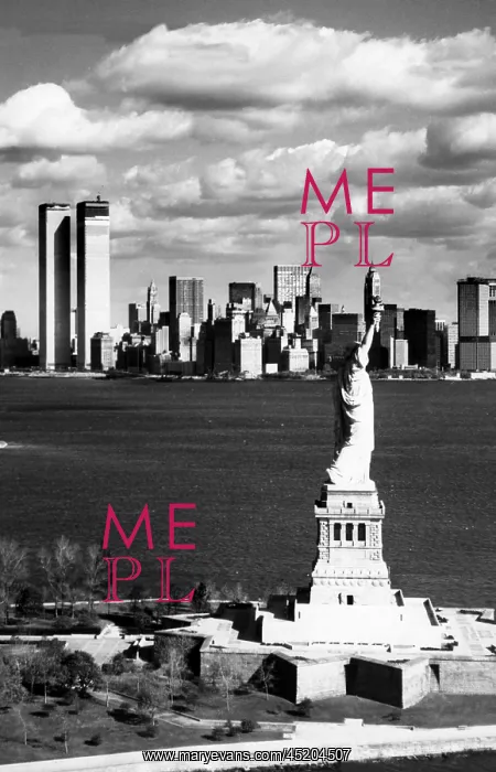 : View of Manhattan, the Statue of Liberty ? : View of Manhattan, the Statue of Liberty ?