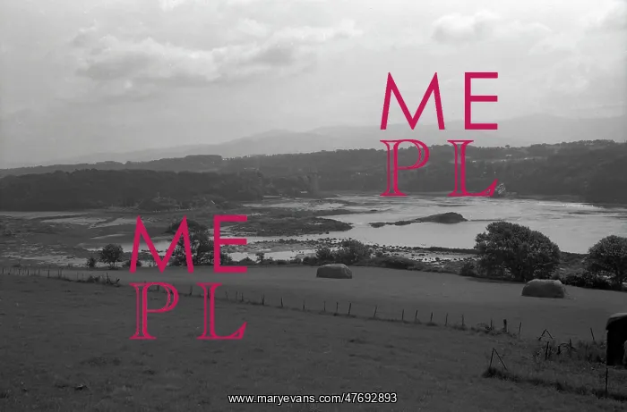 : View toward the Menai Suspension Bridge : View toward the Menai Suspension Bridge