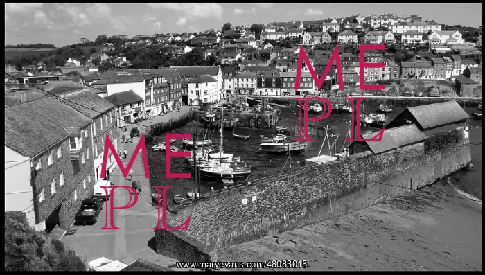  : View of Mevagissey, Cornwall