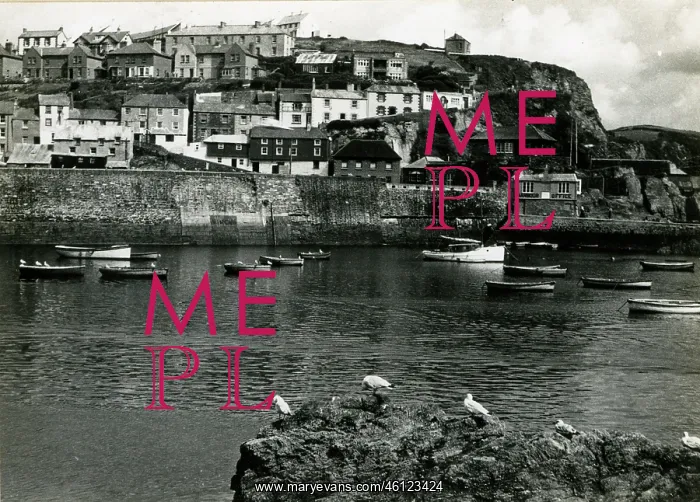 : View of Mevagissey Harbour, Cornwall : View of Mevagissey Harbour, Cornwall