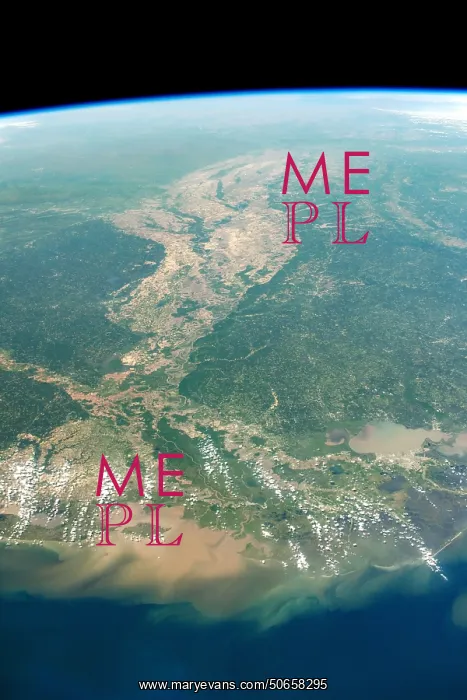 : View of the Mississippi : View of the Mississippi