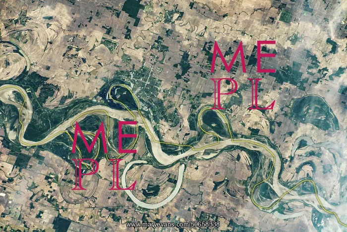 : View of the Mississippi : View of the Mississippi