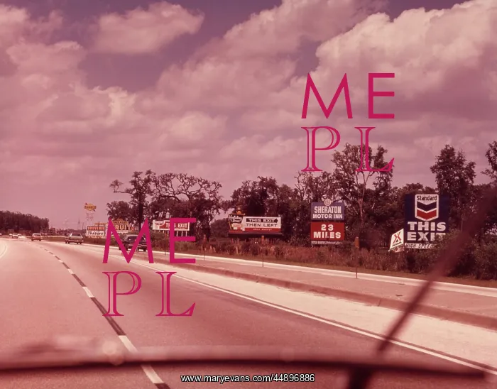 : View of the motorway from a car : View of the motorway from a car