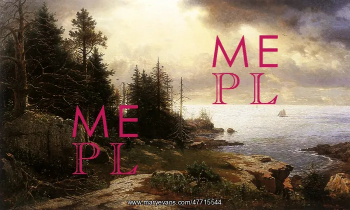  : A View from Mount Desert