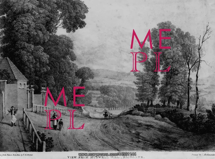 : View from Muswell Hill, Highgate : View from Muswell Hill, Highgate