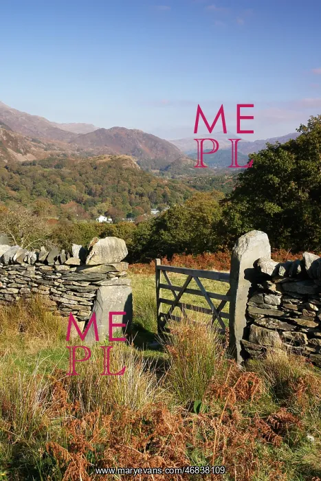 : View of Nant Gwynant from above Beddgelert : View of Nant Gwynant from above Beddgelert