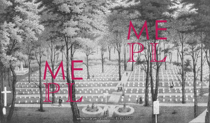 : View of National Cemetery at Arlington : View of National Cemetery at Arlington