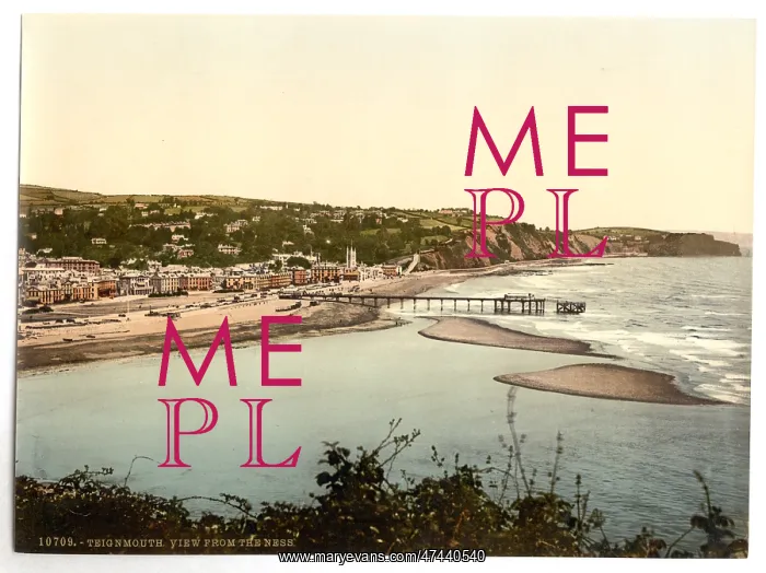 : View from the Ness, Teignmouth, England : View from the Ness, Teignmouth, England