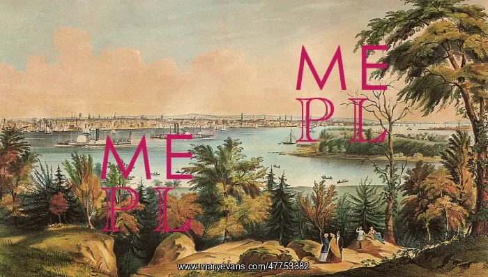 : View of New York from Weehawken - North River : View of New York from Weehawken - North River