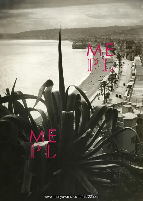 : View of Nice, 1934 : View of Nice, 1934