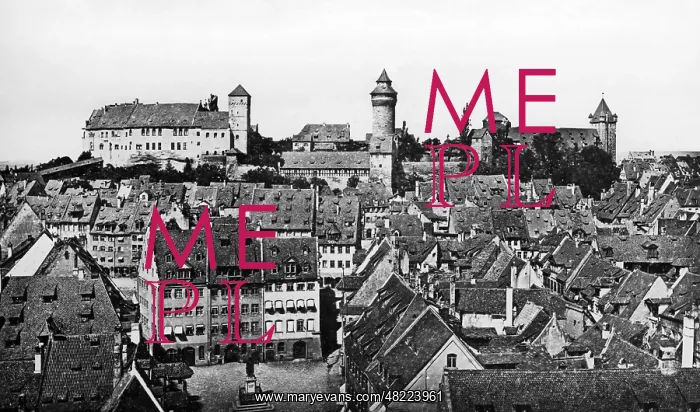 : View on the Nuremberg Castle : View on the Nuremberg Castle