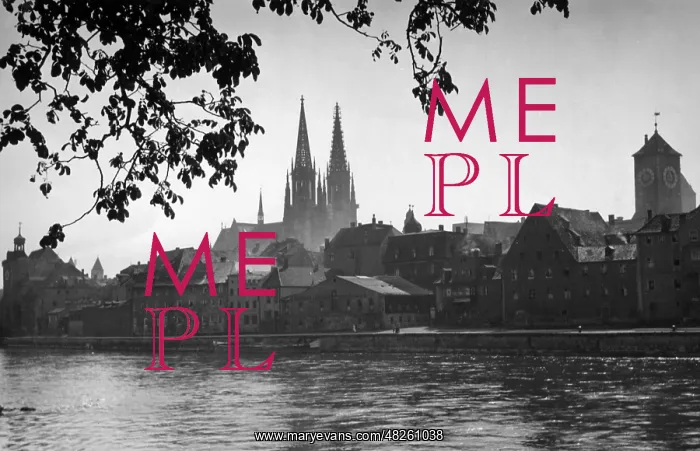 : View of the old town of Regensburg, around 1925 : View of the old town of Regensburg, around 1925