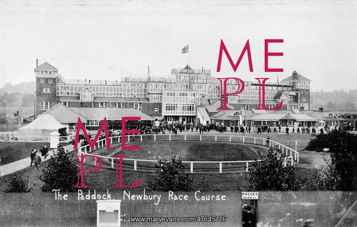: View of paddock and grandstand, Newbury racecourse : View of paddock and grandstand, Newbury racecourse