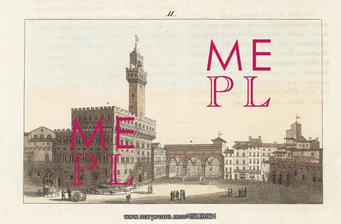: View of the Palazzo Vecchio or Old Palace, Florence : View of the Palazzo Vecchio or Old Palace, Florence