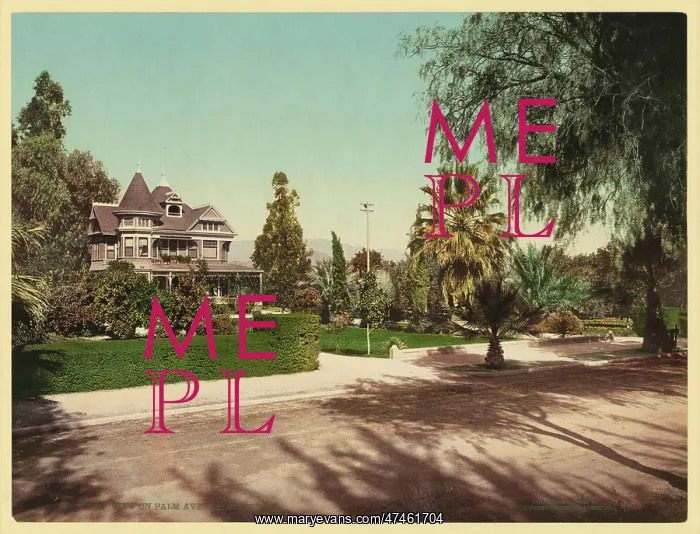 : View on Palm Avenue, Riverside : View on Palm Avenue, Riverside