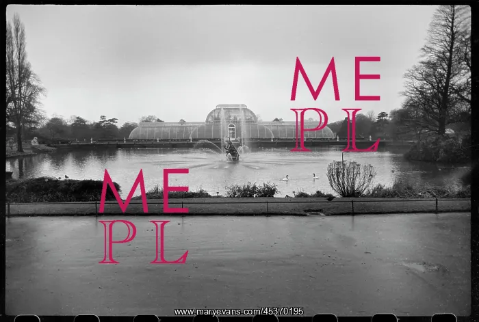 : A view of the Palm House in Kew Gardens : A view of the Palm House in Kew Gardens