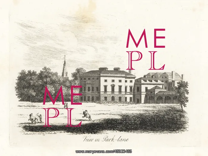 : View in Park Lane, London, 1808 : View in Park Lane, London, 1808