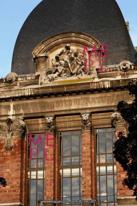 : View from below of pediment with allegorical figures : View from below of pediment with allegorical figures