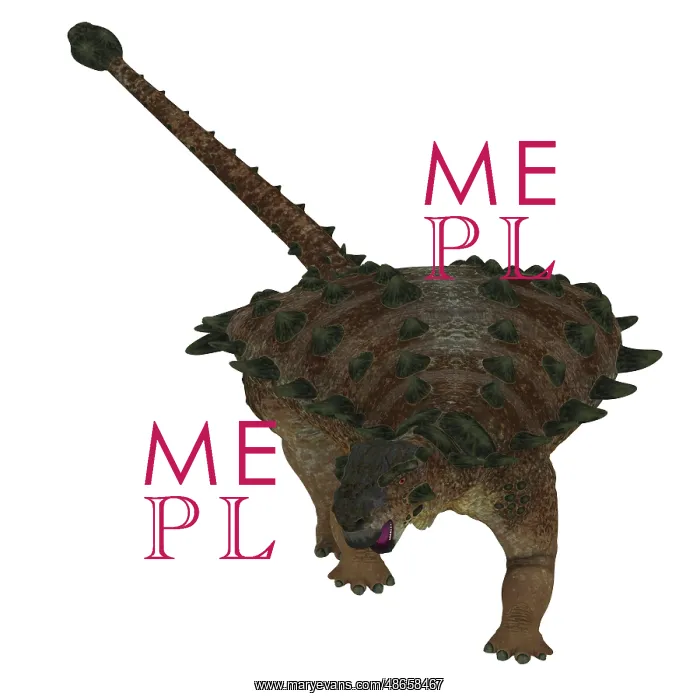 : Front view of a Pinacosaurus dinosaur : Front view of a Pinacosaurus dinosaur