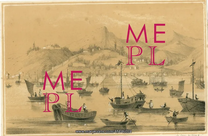 : View of the port of Shanghai, China : View of the port of Shanghai, China