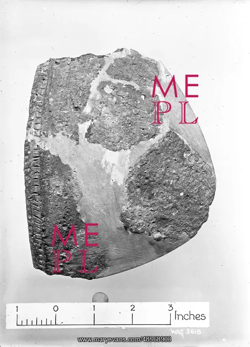 : View of pottery fragments against a white background : View of pottery fragments against a white background