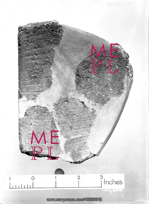 : View of pottery fragments against a white background : View of pottery fragments against a white background