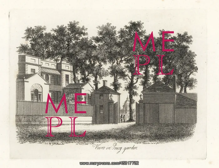 : View in the Privy Garden of the Palace of Whitehall : View in the Privy Garden of the Palace of Whitehall
