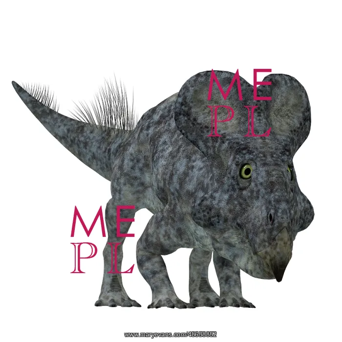 : Front view of a Protoceratops dinosaur : Front view of a Protoceratops dinosaur