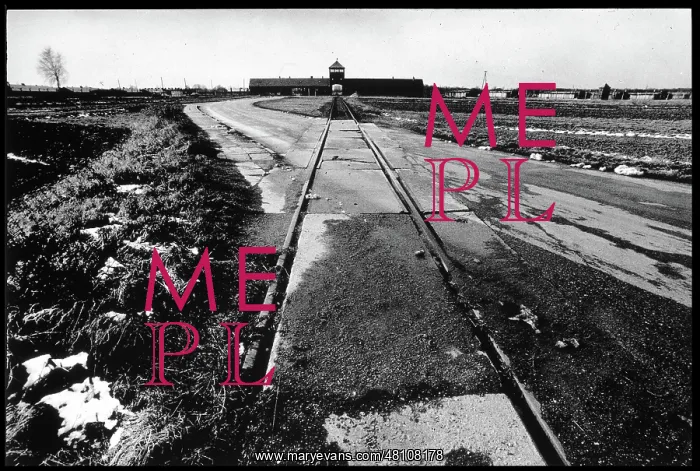 : View of railway lines at Auschwitz-Birkenau : View of railway lines at Auschwitz-Birkenau