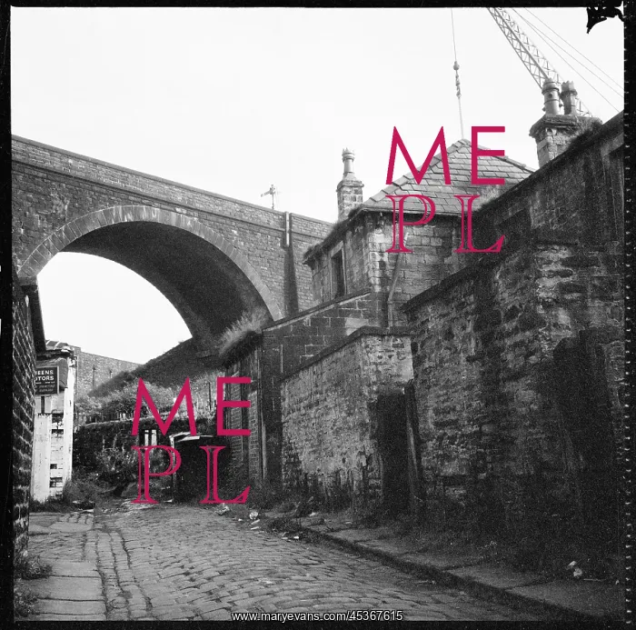 : View towards Railway viaduct from the ginnel (alley) : View towards Railway viaduct from the ginnel (alley)