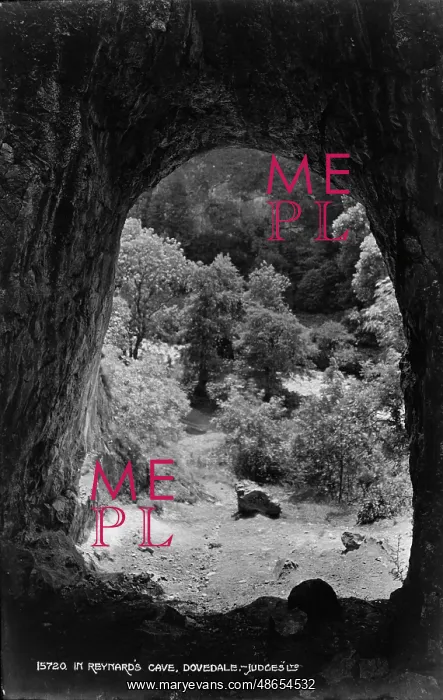 : View from Reynard's Cave : View from Reynard's Cave