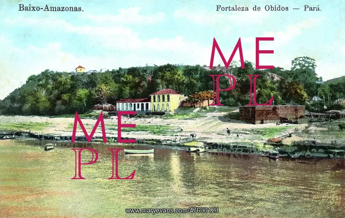 : View of the River Amazon at Obidos, Para, Brazil : View of the River Amazon at Obidos, Para, Brazil