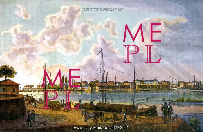 : View over the River Rhine : View over the River Rhine