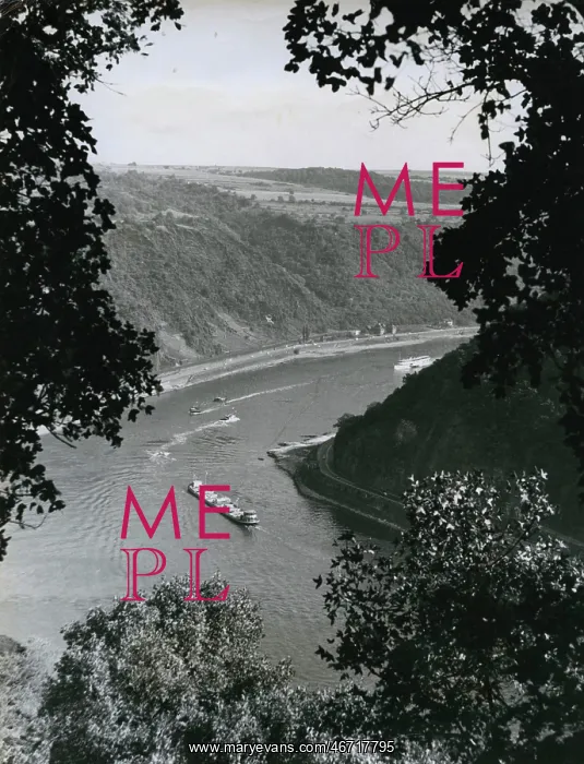 : View of River Rhine from Lorelei Rock, Germany : View of River Rhine from Lorelei Rock, Germany