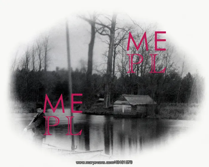 : View on the River Waveney, East Anglia : View on the River Waveney, East Anglia