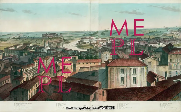 : View of Rome, including the Villa Meolistrees, Sa. Maria dei : View of Rome, including the Villa Meolistrees, Sa. Maria dei