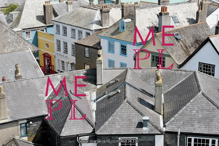 : View across the roofs of Totnes, Devon : View across the roofs of Totnes, Devon