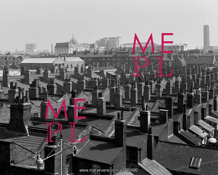 : View across rooftops towards City of London : View across rooftops towards City of London
