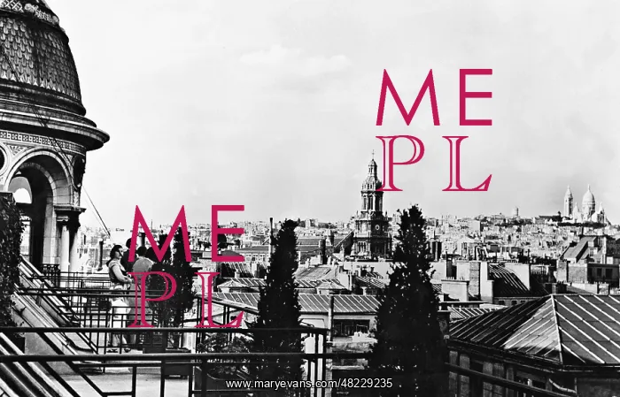  : View over the rooftops of Paris