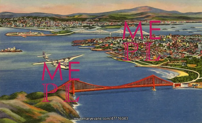 : View of San Francisco Bay : View of San Francisco Bay