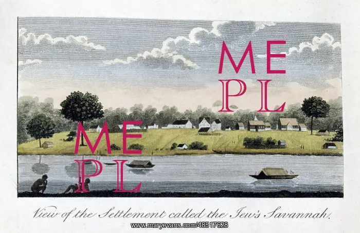 : View of the Settlement called the Jew's Savannah : View of the Settlement called the Jew's Savannah