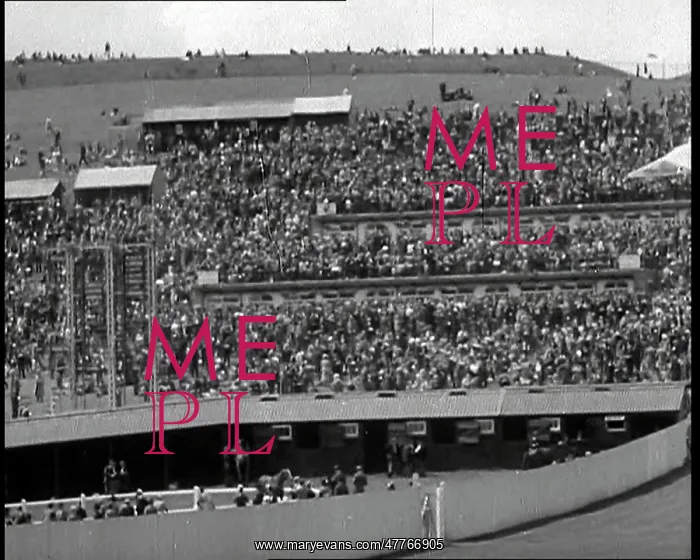 : A View of the Spectator Terraces at Goodwood : A View of the Spectator Terraces at Goodwood