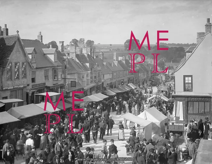 : A view of the street during the Hiring Fair (Mop : A view of the street during the Hiring Fair (Mop