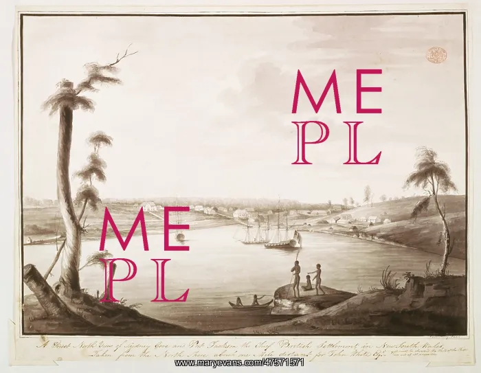 : View of Sydney Cove from the North shore of the harbour : View of Sydney Cove from the North shore of the harbour