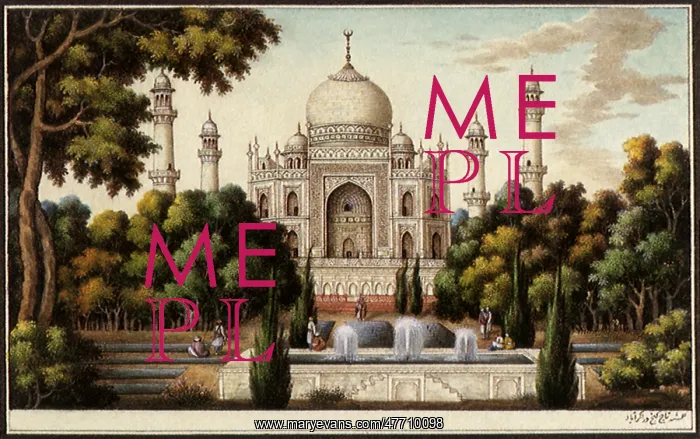  : View of Taj Mahal