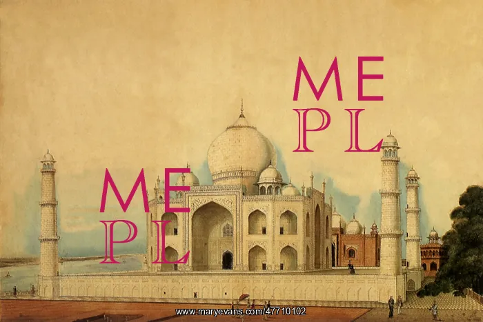  : View of Taj Mahal