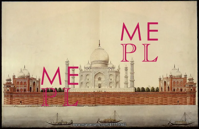  : View of Taj Mahal