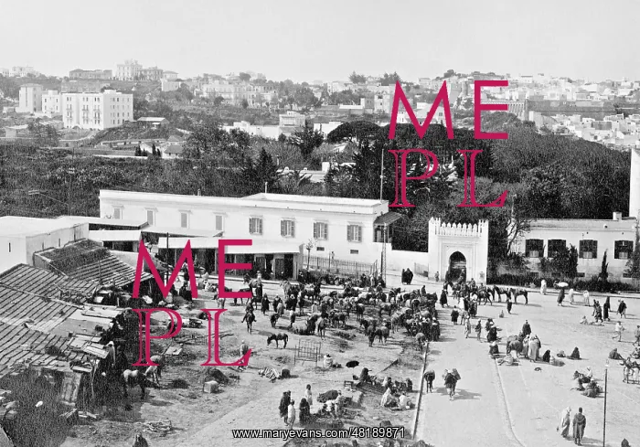 : View of Tangier : View of Tangier
